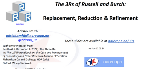 Download the slide deck
