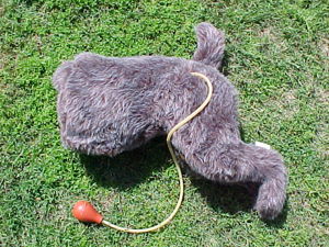 K-9 Pulse Trainer