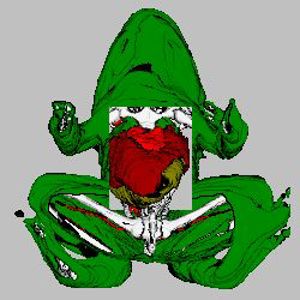 Virtual Frog Dissection Kit