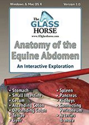 Anatomy of the Equine Abdomen CD 9173