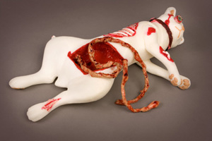 Models Trauma Cat 9357