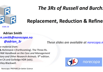 Download the slide deck