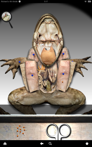 Frogutsimage