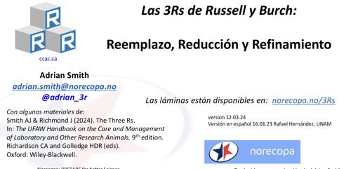Download the Spanish version