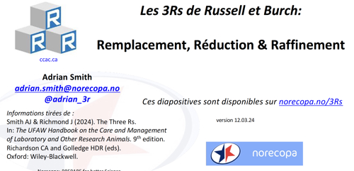 Download the French version